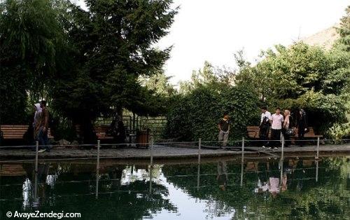  پارک سنگی تهران 