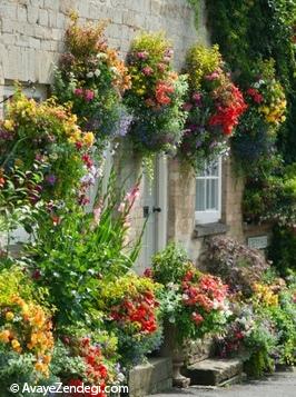 طراوت یک خانه با گلدان های زیبای آویزان