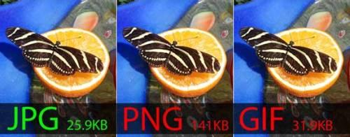 کدام فرمت عکس مناسب‌تر است؟ JPG، GIF یا PNG؟ 