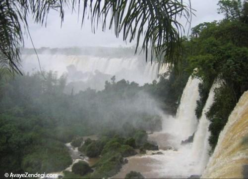 برزیل؛ کشور قهوه، سرزمین آمازون 