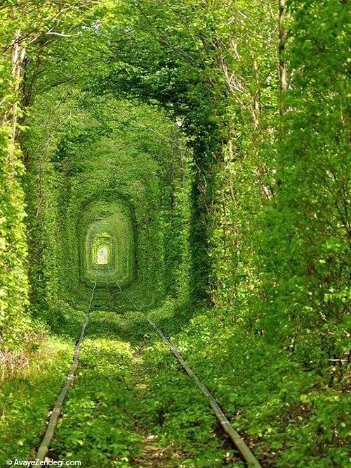 تونل عشق در شهر کلون اوکراین 