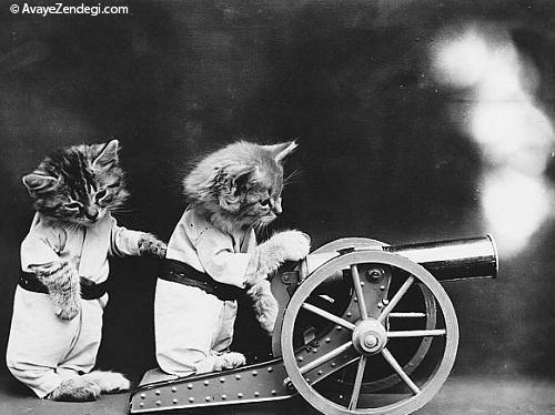 عکس های آتلیه ای باور نکردنی از گربه و سگ ها مربوط به صد سال پیش
