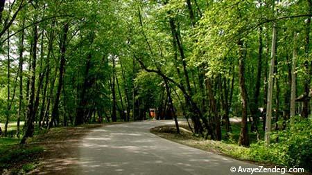 بزرگترین پارک های جنگلی ایران