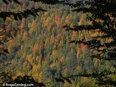 زیباترین کوهستان ایران در فصل پاییز 