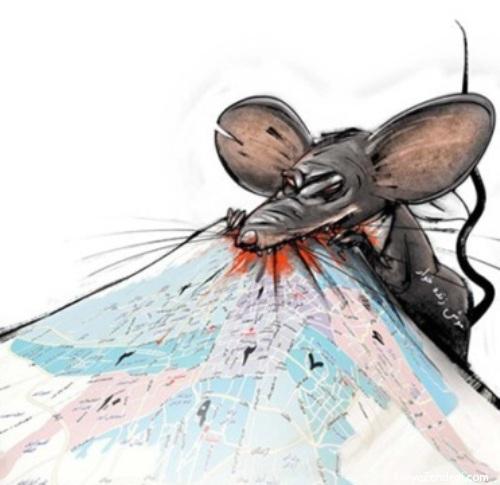 کاریکاتور ازدیاد موش های تهران
