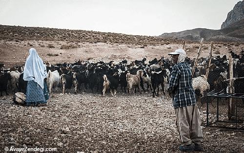 زندگی عشایر قشقایی 