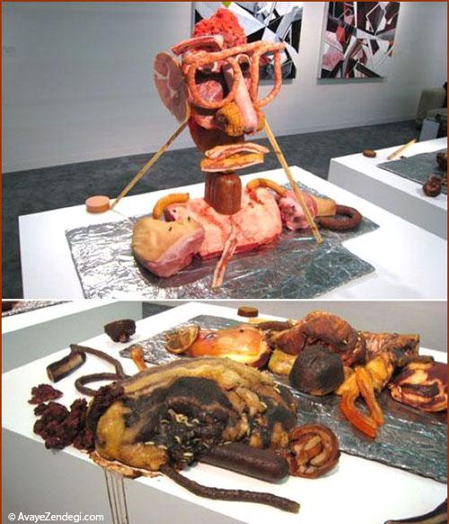  هنرنمایی جالب با گوشت 
