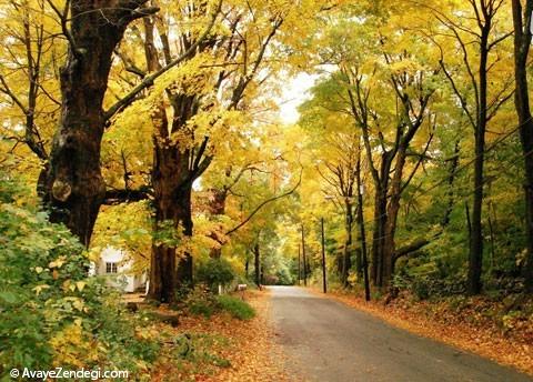 در جاده های پاییز عاشق شوید