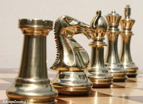 تفاوت مغز شطرنج بازان حرفه ای با دیگران