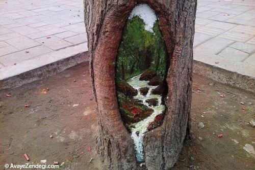 نقاشی های خلاقانه روی گودی درختان 