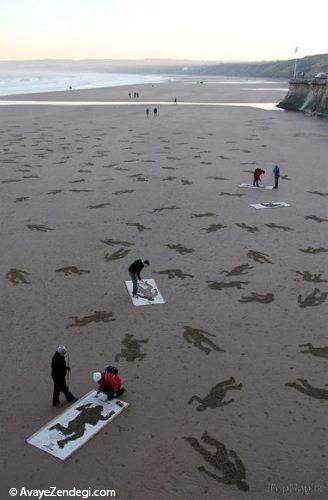 هنرنمایی جالب کنار ساحل 