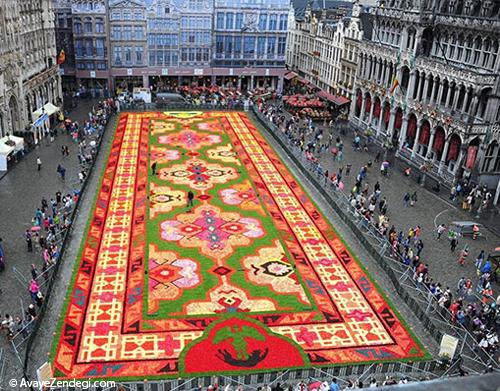 فرشی از گل در میدان بروکسل 