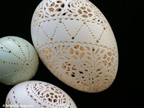 هنرنمایی جالب بر روی پوست تخم پرندگان