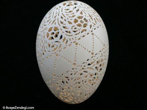 هنرنمایی جالب بر روی پوست تخم پرندگان