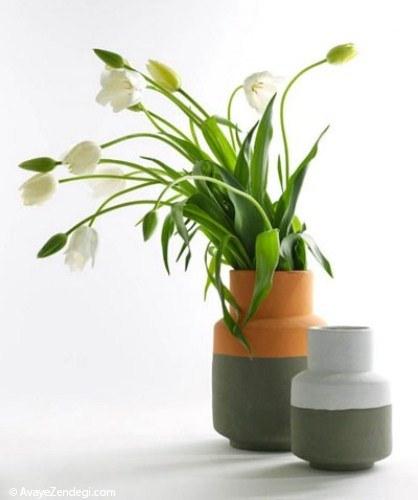 ایده های تصویری برای گلدان های خانگی 