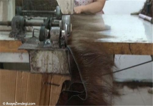 تجارت مو در چین!