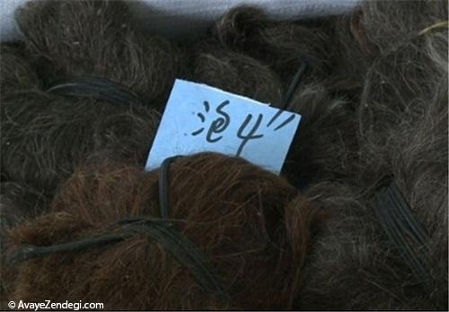 تجارت مو در چین!