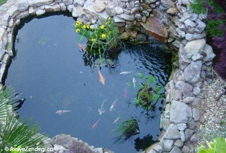 طراحی حوض و نحوه نگهداری از ماهی ها