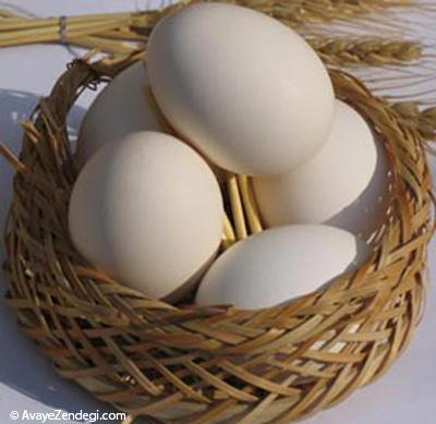کاربردهای جالب پوست تخم مرغ