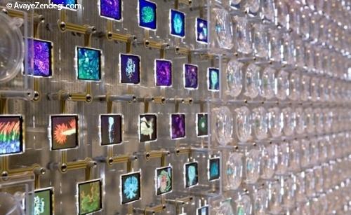 راه اندازی دیوار دیجیتال با 2800 صفحه نمایش برای نمایش آثار هنری 