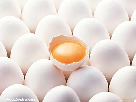 هفت دلیل واجب برای خوردن تخم مرغ سر صبح