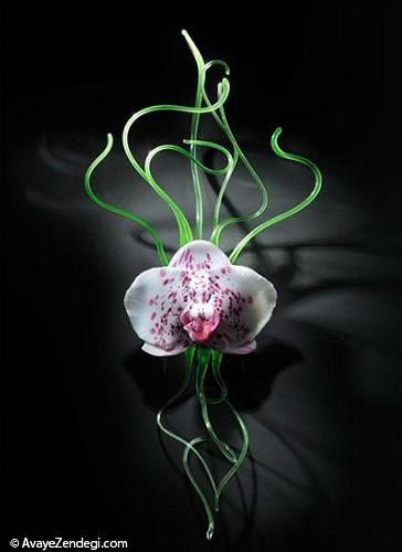 گل‌های شیشه‌ای هنری غول‌آسا