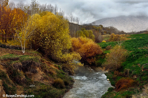 در بهشت ایلام