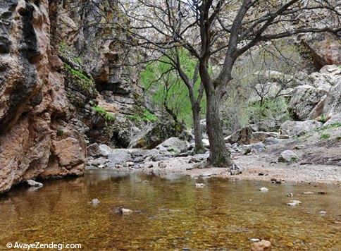  آبشار زیبای «اخلمد» مشهد 