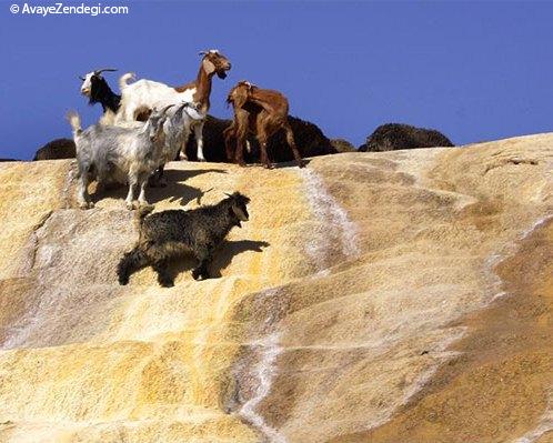  چشمه کانی گراوان در شهرستان سردشت 