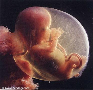  ناسازگاری خونی جنین و مادر چیست؟ 