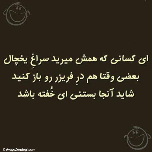 آوای زندگی