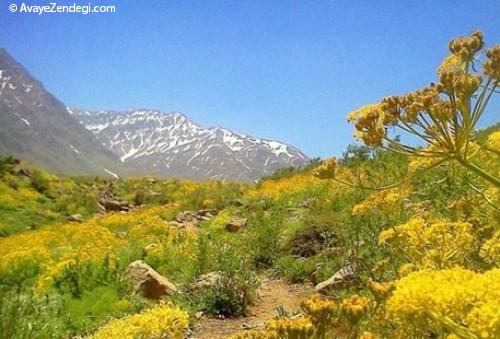 زیبایی‌های ایران: استان کهگیلویه و بویراحمد 