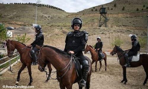 یگان ویژه اسب سوار ایران