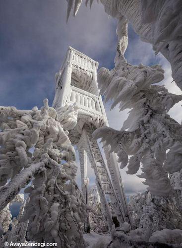 مجسمه های شگفت انگیز یخ زده 