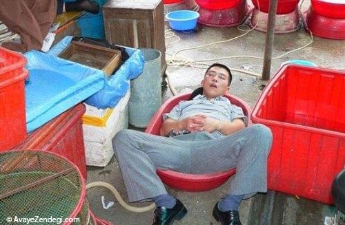  عکس های جالب از خواب چینی 