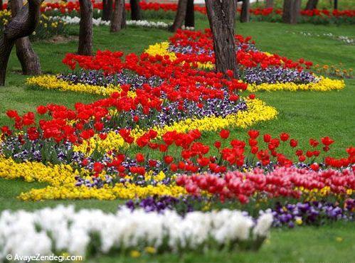  باغ گل های لاله در مشهد 