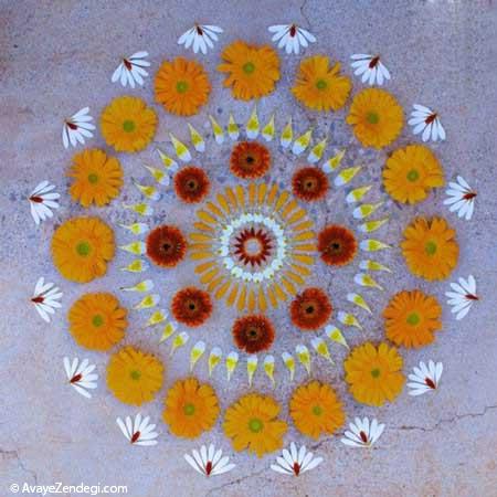  عکس های جالب از هنر نمایی با گل 