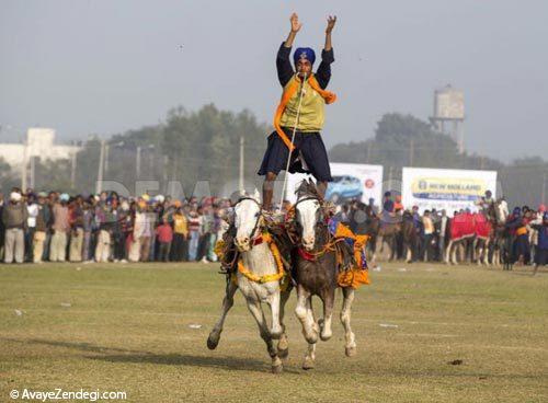  عکس های جالب از المپیک هندی ها! 