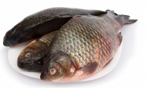 چرا ماهی بوی تند و زننده ای دارد؟
