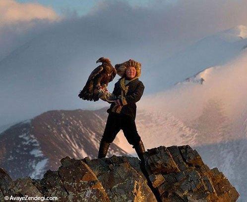 رام کردن عقاب در مغولستان