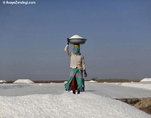  عکس های جالب از نمکستان هندی 