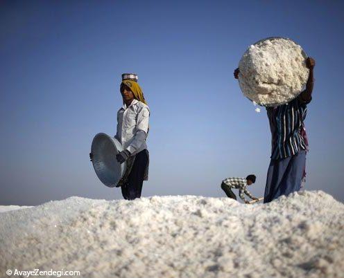  عکس های جالب از نمکستان هندی 