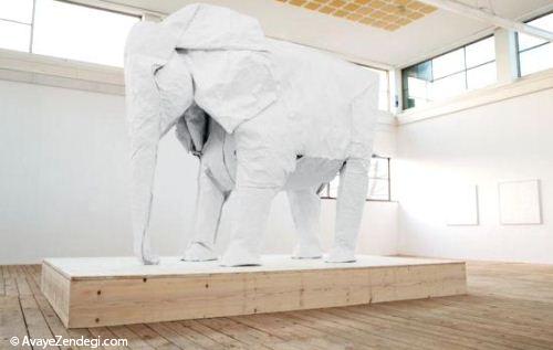  عکس های جالب از فیل کاغذی 