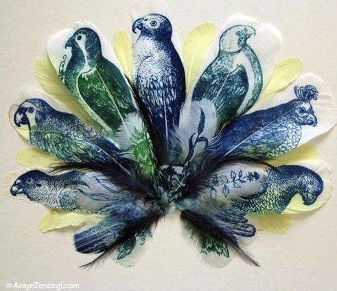  عکس نقاشی های جالب روی پر پرنده 