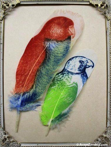  عکس نقاشی های جالب روی پر پرنده 