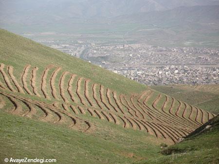  ایران‌گردی، از شیراز و اصفهان تا کردستان 