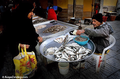 بوی ماهی در بازار بوشهر