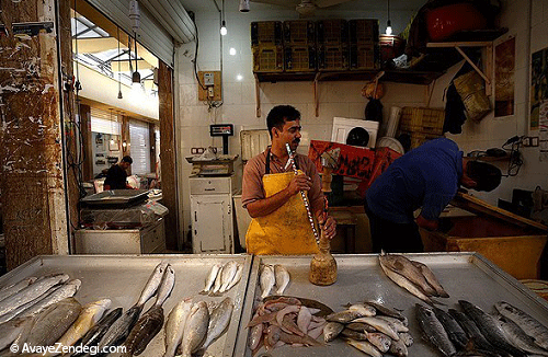 بوی ماهی در بازار بوشهر