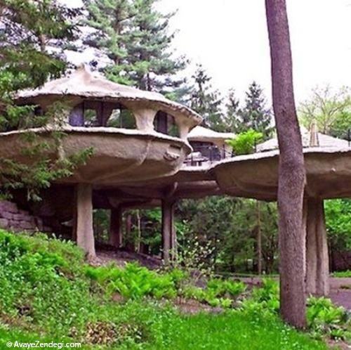  10 خانه عجیب الهام گرفته از طبیعت 