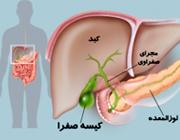  کدام گروه خونی بیشتر بیمار می شود؟ 